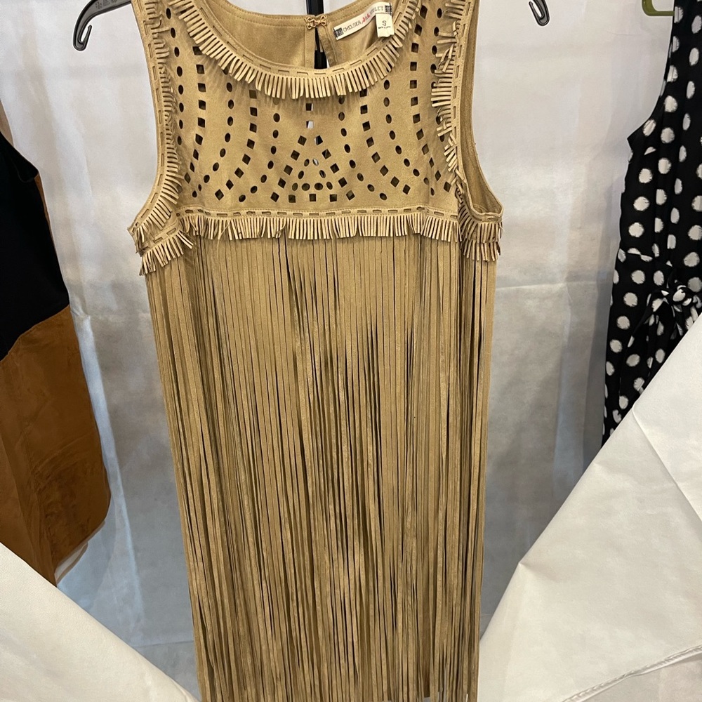 Sleeveless fringe suede dress